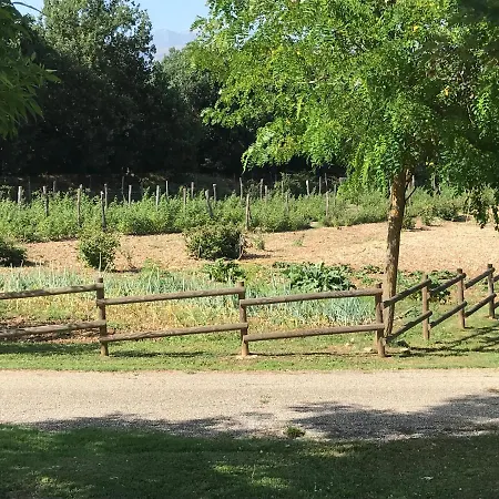 Fattoria Antica Forconia *