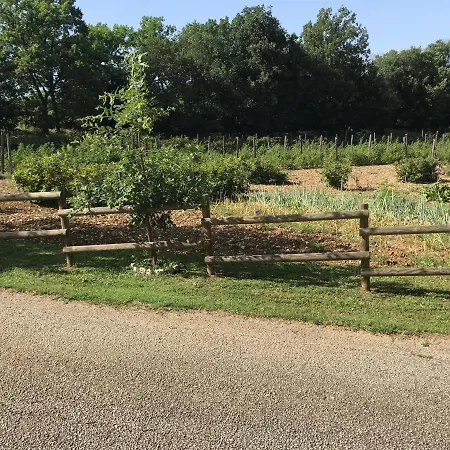 Fattoria Antica Forconia