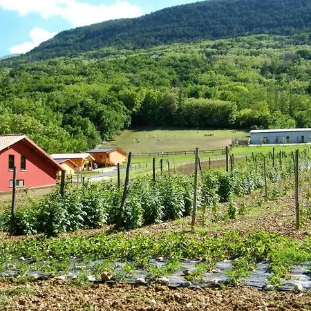 Fattoria Antica Forconia Gospodarstwo agroturystyczne *