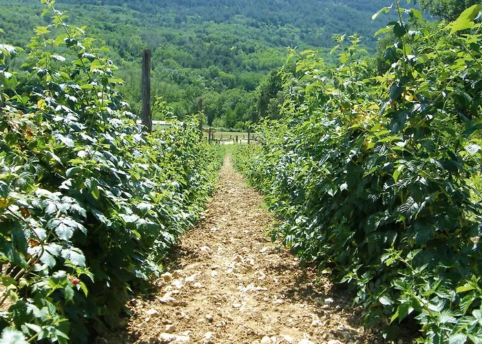 팜스테이 Fattoria Antica Forconia 라킬라