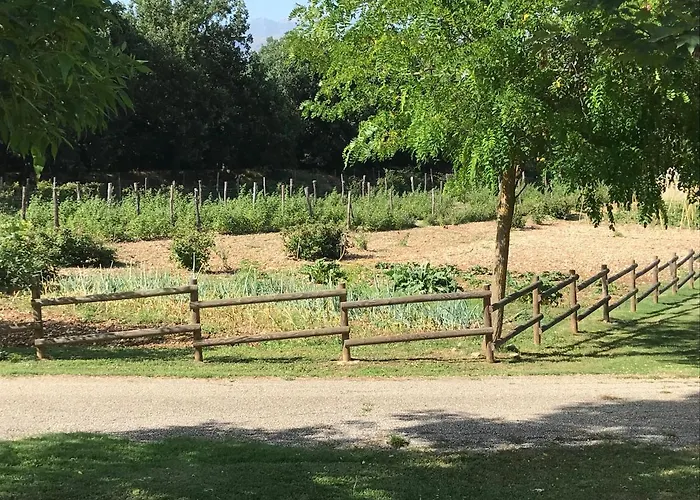 Fattoria Antica Forconia *