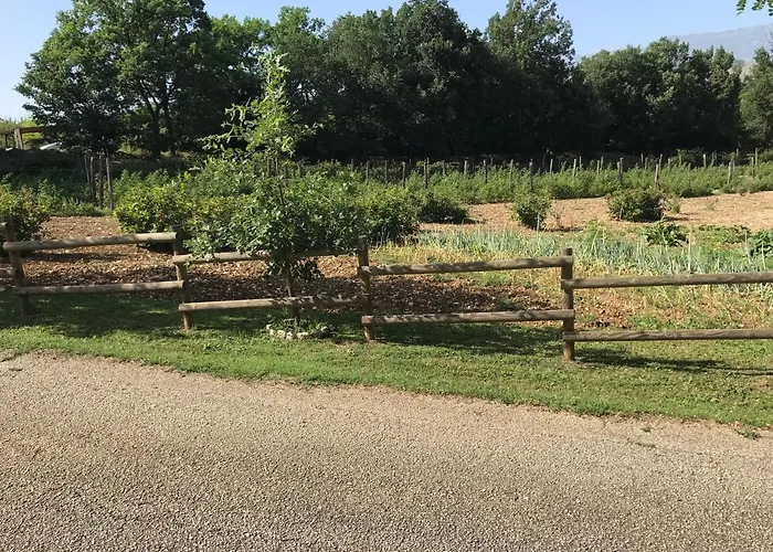 Fattoria Antica Forconia
