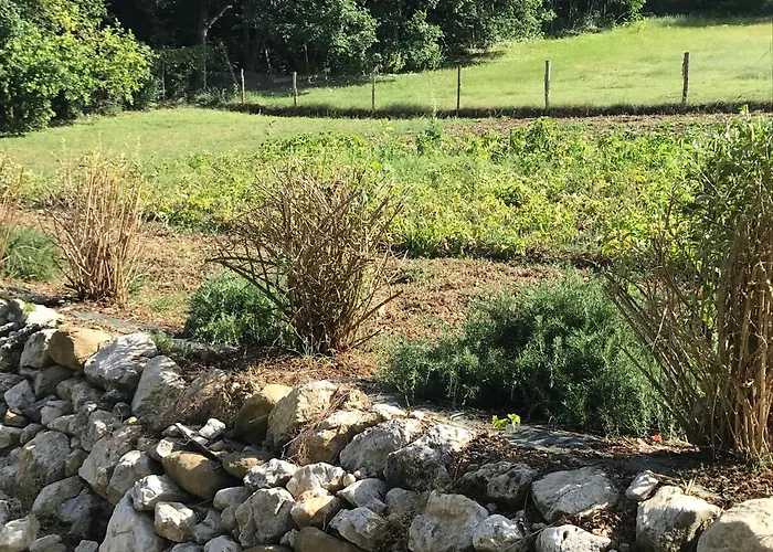 Fattoria Antica Forconia 팜스테이